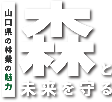 山口県の林業の魅力 森と未来を守る